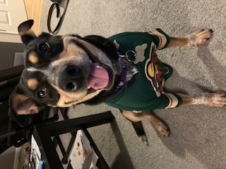 Princess in her Minnesota Wild jersey